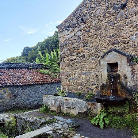 Aldeia Do Sanguinho Faial da Terra Ngoại thất bức ảnh