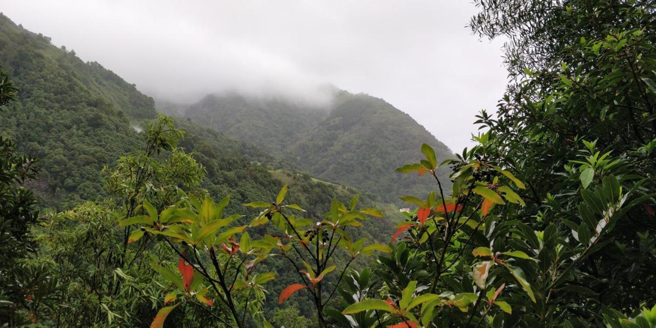 Aldeia Do Sanguinho Faial da Terra Ngoại thất bức ảnh