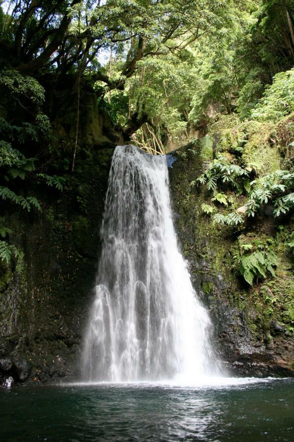Aldeia Do Sanguinho Faial da Terra Ngoại thất bức ảnh